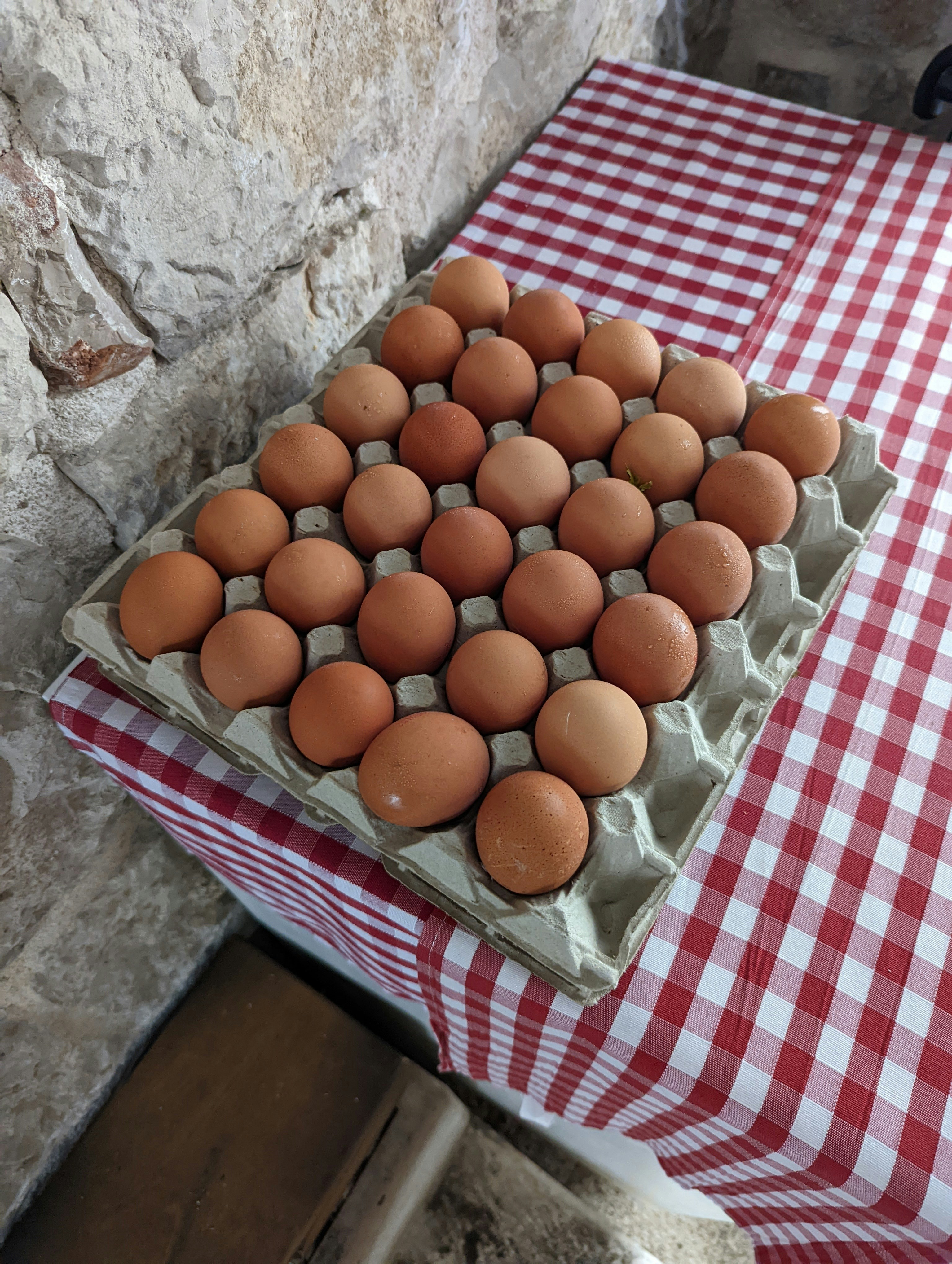 Free Range Eggs